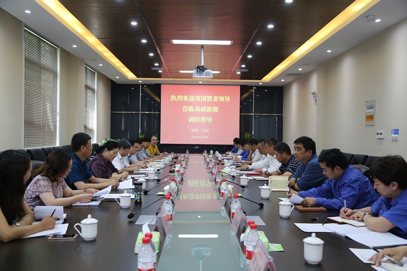 河南省國資委監(jiān)事會主席戴月到易成新能調(diào)研