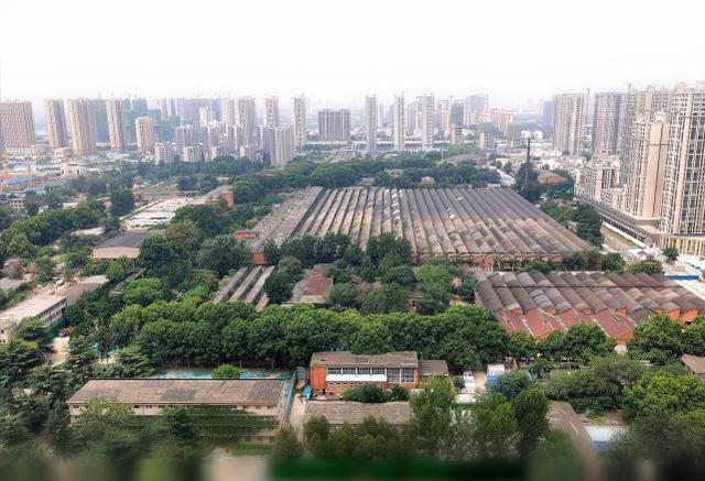 鄭州二砂文創(chuàng)園設(shè)“首開區(qū)”，年底前免費(fèi)對外開放，將吸引這類企業(yè)入駐